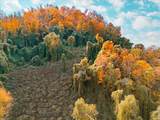 5380 Ky-11 - Photo 28