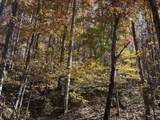 3999 Mckee Road - Photo 31