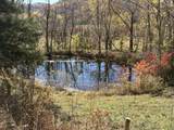 3999 Mckee Road - Photo 41