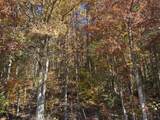 3999 Mckee Road - Photo 52