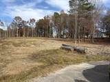Lots 6 & 7 Winwood Trail - Photo 4