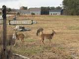 441 Deer Lake Place - Photo 4