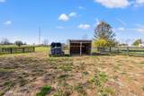 1360 Hoover Pike - Photo 65