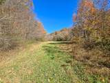 TRACT 2 Bastin Creek Road - Photo 53