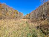 TRACT 2 Bastin Creek Road - Photo 60