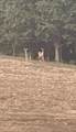 54 Burdette Knob Road - Photo 39