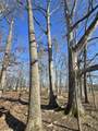 1085 Oak Grove Road - Photo 25