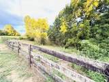 1232 Pleasant Grove Ridge Road - Photo 84