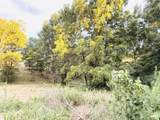 1232 Pleasant Grove Ridge Road - Photo 82