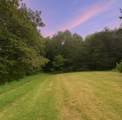 1232 Pleasant Grove Ridge Road - Photo 87