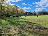 Parcel 1 & 2 Lazy Bee Lane - Photo 61