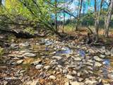 Parcel 1 & 2 Lazy Bee Lane - Photo 67