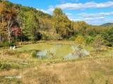 Parcel 1 & 2 Lazy Bee Lane - Photo 68