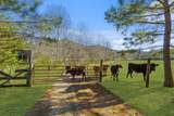 Parcel 1 & 2 Lazy Bee Lane - Photo 95