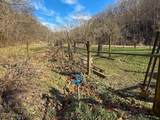 248 Sulphur Lick Road - Photo 47