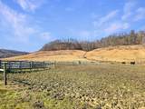 423 Loop Road - Photo 42