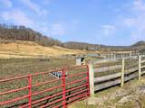 423 Loop Road - Photo 47