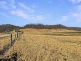 423 Loop Road - Photo 54