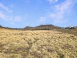 423 Loop Road - Photo 59