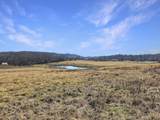 423 Loop Road - Photo 60