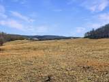 423 Loop Road - Photo 85
