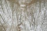 6119 Pigeon Roost Road - Photo 26