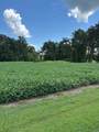 1 Nelson Mill Road - Photo 14