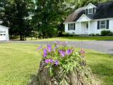 1405 Webb Ridge Road - Photo 2