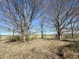 2068 Jacks Creek Road - Photo 4
