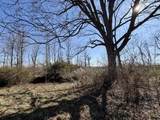 2068 Jacks Creek Road - Photo 9