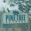 821 Pine Tree Road - Photo 31