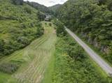 1267 Lower Taulbee Fork Road - Photo 11