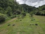 1267 Lower Taulbee Fork Road - Photo 13