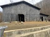 1267 Lower Taulbee Fork Road - Photo 16