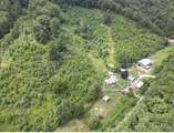1267 Lower Taulbee Fork Road - Photo 7