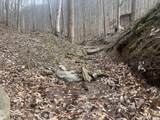 1470 Hopkins Fork - Photo 14