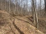 1470 Hopkins Fork - Photo 15