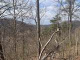 1470 Hopkins Fork - Photo 17