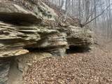 1470 Hopkins Fork - Photo 4