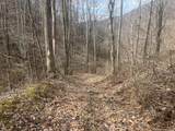 1470 Hopkins Fork - Photo 7