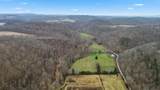1666 Pointer Creek Road - Photo 11