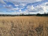 2777 Craig Road - Photo 5