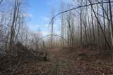 Lot 1 Lower Turkey Creek Road - Photo 3