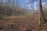 Lot 1 Lower Turkey Creek Road - Photo 4