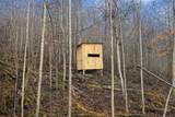 Lot 1 Lower Turkey Creek Road - Photo 5