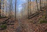 Lot 1 Lower Turkey Creek Road - Photo 6