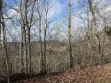 Lot 1 Lower Turkey Creek Road - Photo 8