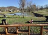 133 Clay Lick Road - Photo 17