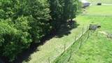 227 Callihan Road - Photo 59
