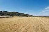 1701 Elihu Cabin Hollow Road - Photo 1